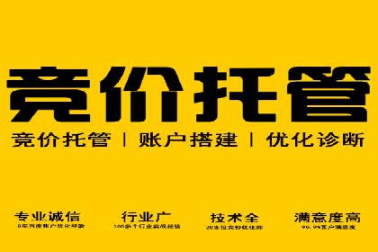 SEM推广案例：关键词优化与广告创意结合